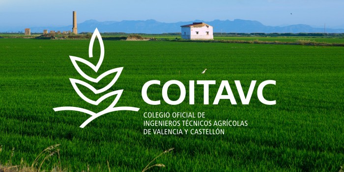 Coitav_marca_06.jpg